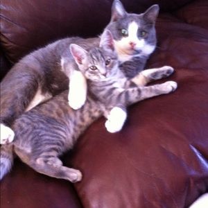 Meet your Posher, Tracy